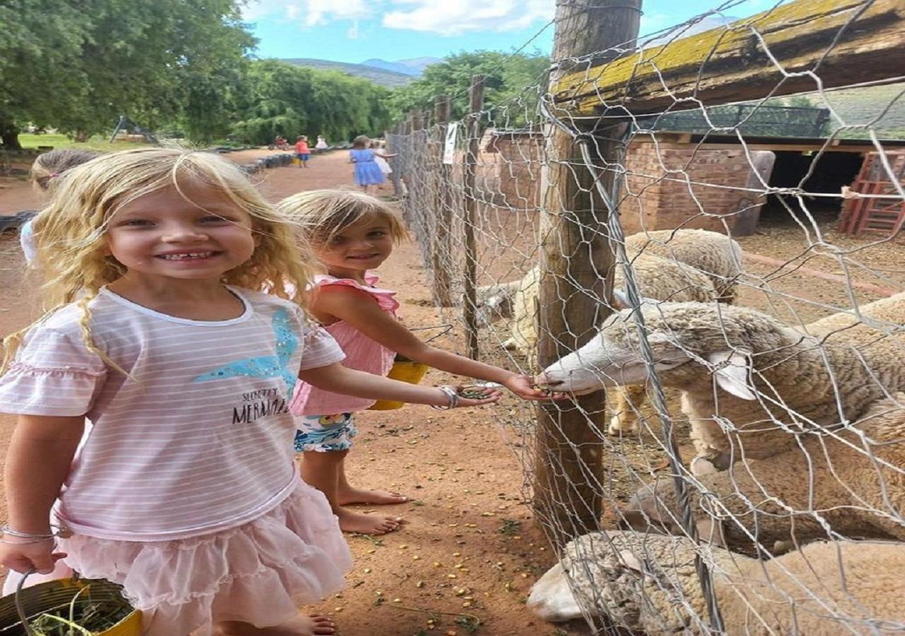 Wilgewandel Holiday Farm & Day Restaurant Oudtshoorn Ngoại thất bức ảnh