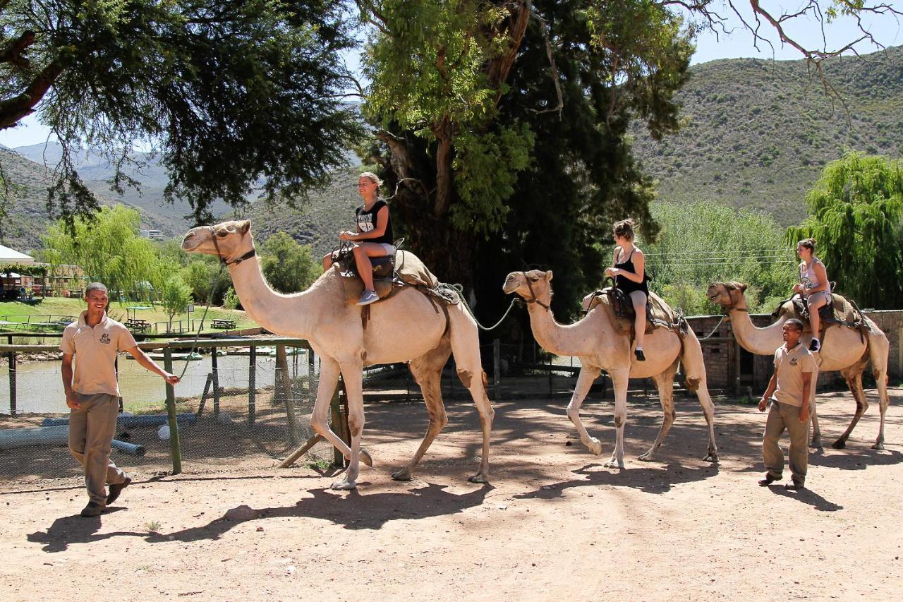 Wilgewandel Holiday Farm & Day Restaurant Oudtshoorn Ngoại thất bức ảnh