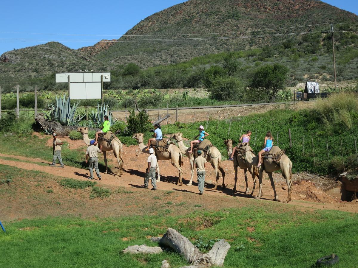 Wilgewandel Holiday Farm & Day Restaurant Oudtshoorn Ngoại thất bức ảnh