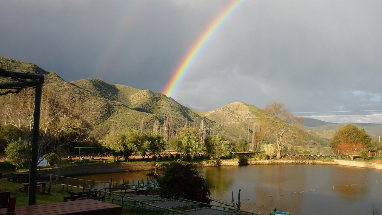 Wilgewandel Holiday Farm & Day Restaurant Oudtshoorn Ngoại thất bức ảnh