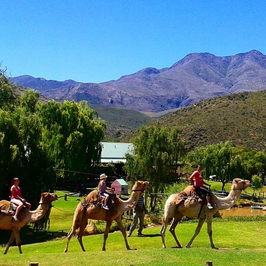 Wilgewandel Holiday Farm & Day Restaurant Oudtshoorn Ngoại thất bức ảnh