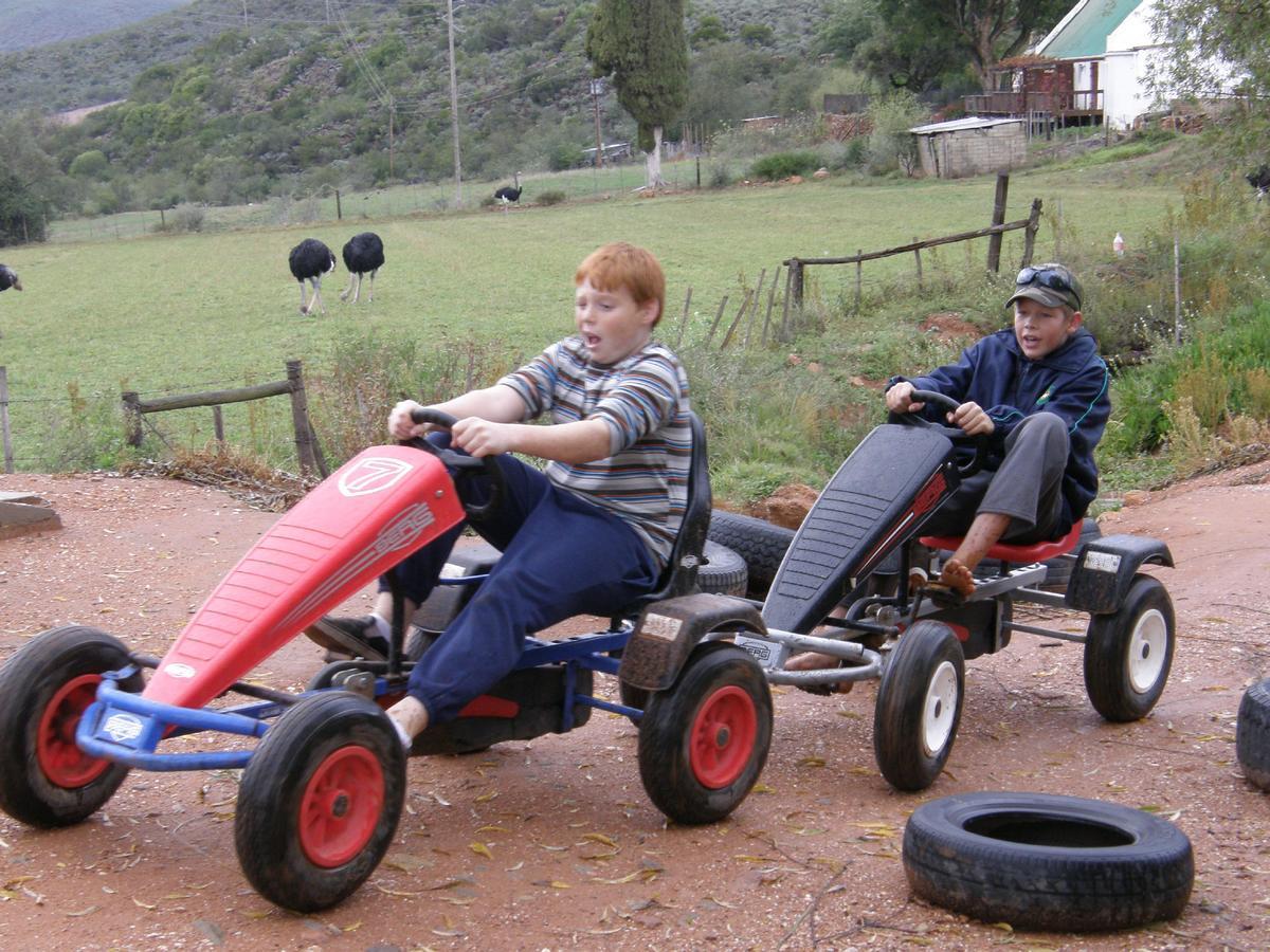 Wilgewandel Holiday Farm & Day Restaurant Oudtshoorn Ngoại thất bức ảnh
