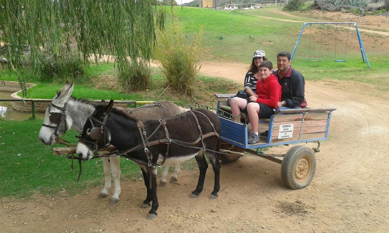 Wilgewandel Holiday Farm & Day Restaurant Oudtshoorn Ngoại thất bức ảnh