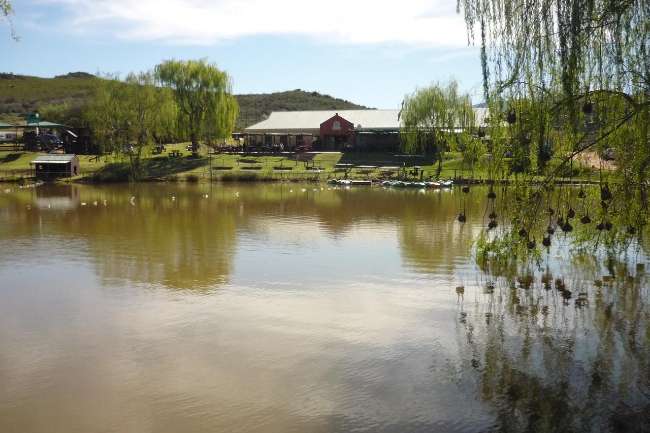 Wilgewandel Holiday Farm & Day Restaurant Oudtshoorn Ngoại thất bức ảnh
