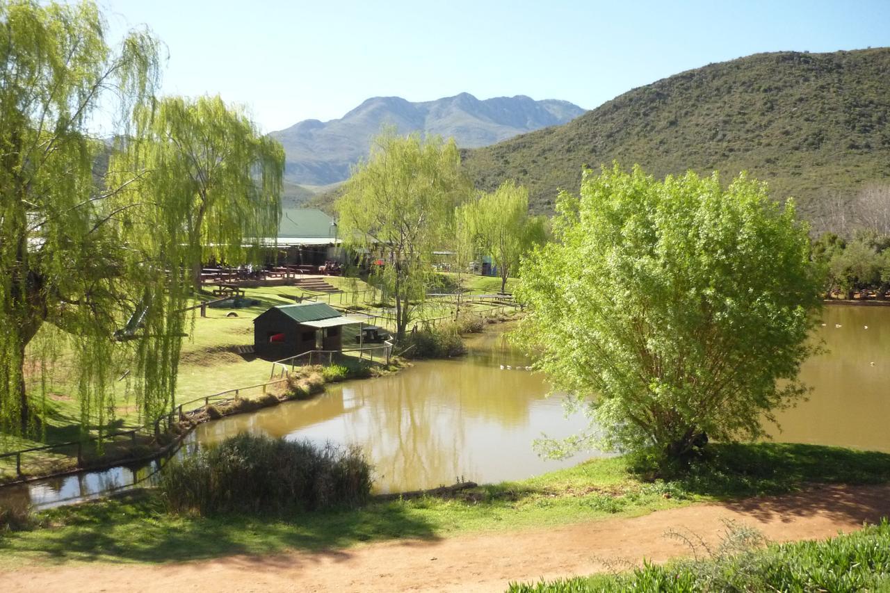Wilgewandel Holiday Farm & Day Restaurant Oudtshoorn Ngoại thất bức ảnh